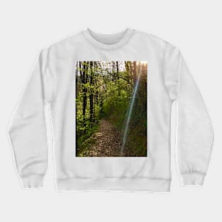 Afternoon Walk Crewneck Sweatshirt